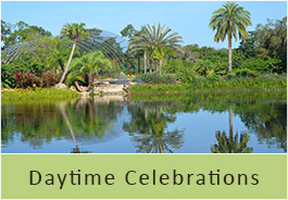 daytime-celebrations